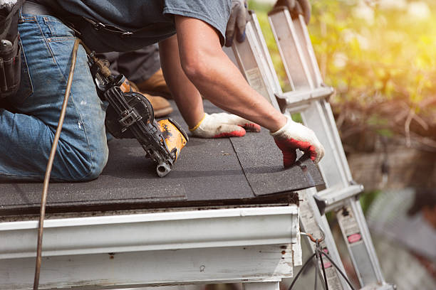 Best Local Roofing Companies  in Almedia, PA